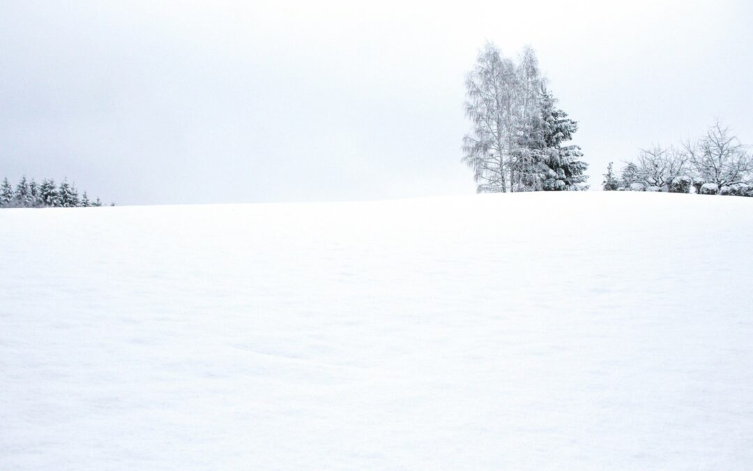 Winterstille – eine Wanderung im Schnee