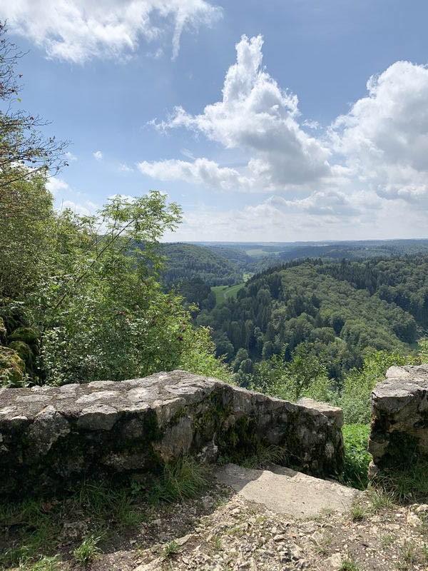 Wald & Wiese 7