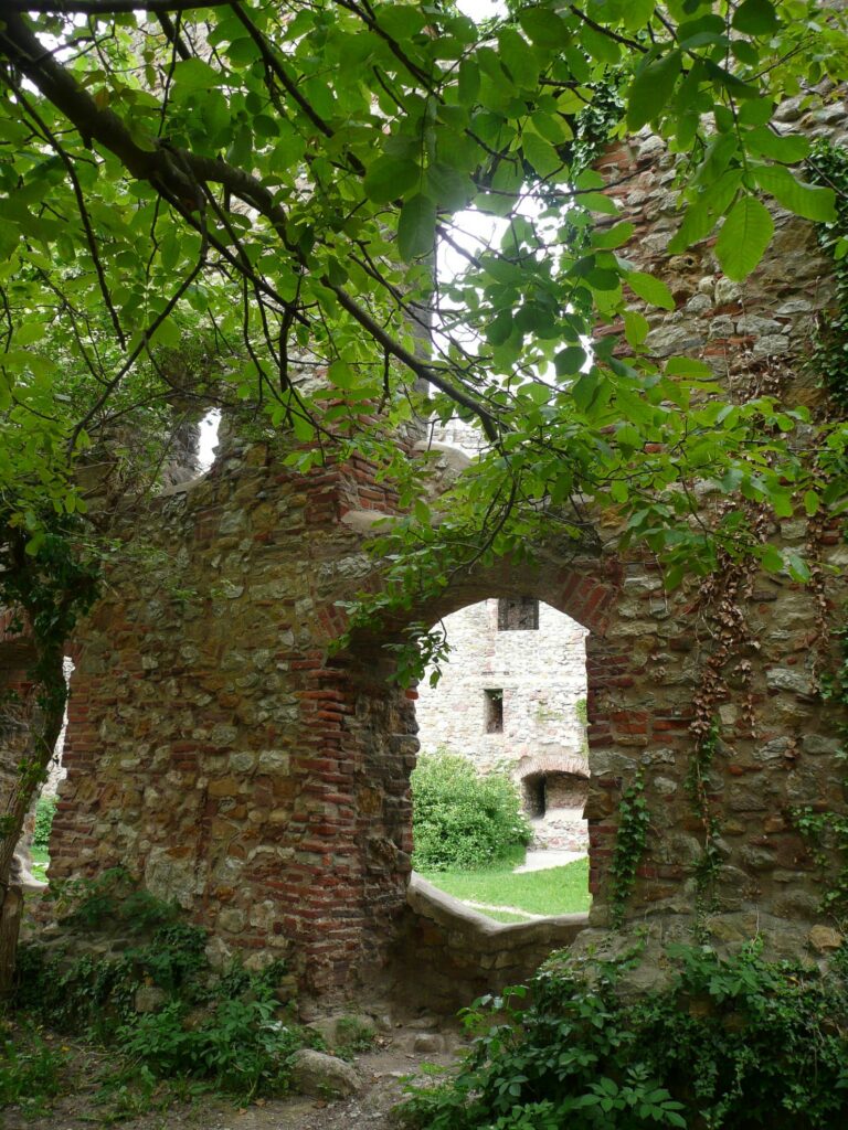 Mittelalterliche Klosterruine