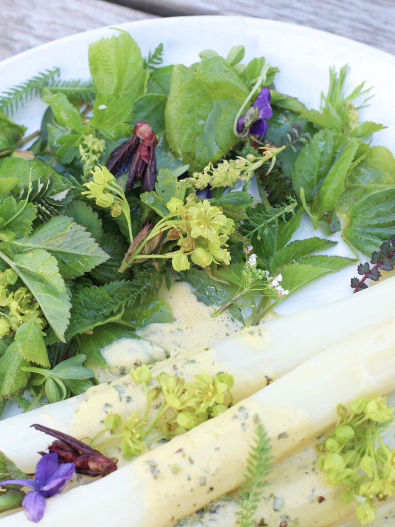 Salat mit Wildkräutern, Baumblättern und -blüten