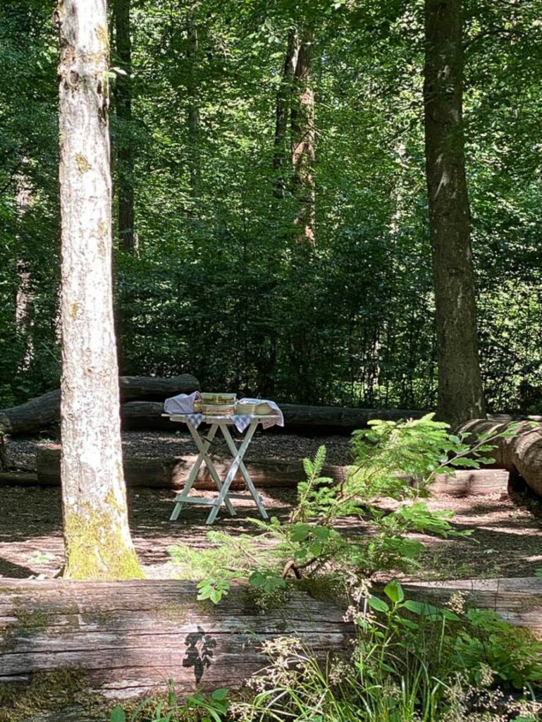 "Tischlein-deck-dich" - Picknick bei Wald & Wiese Wildkräuterwanderung  mit Regina