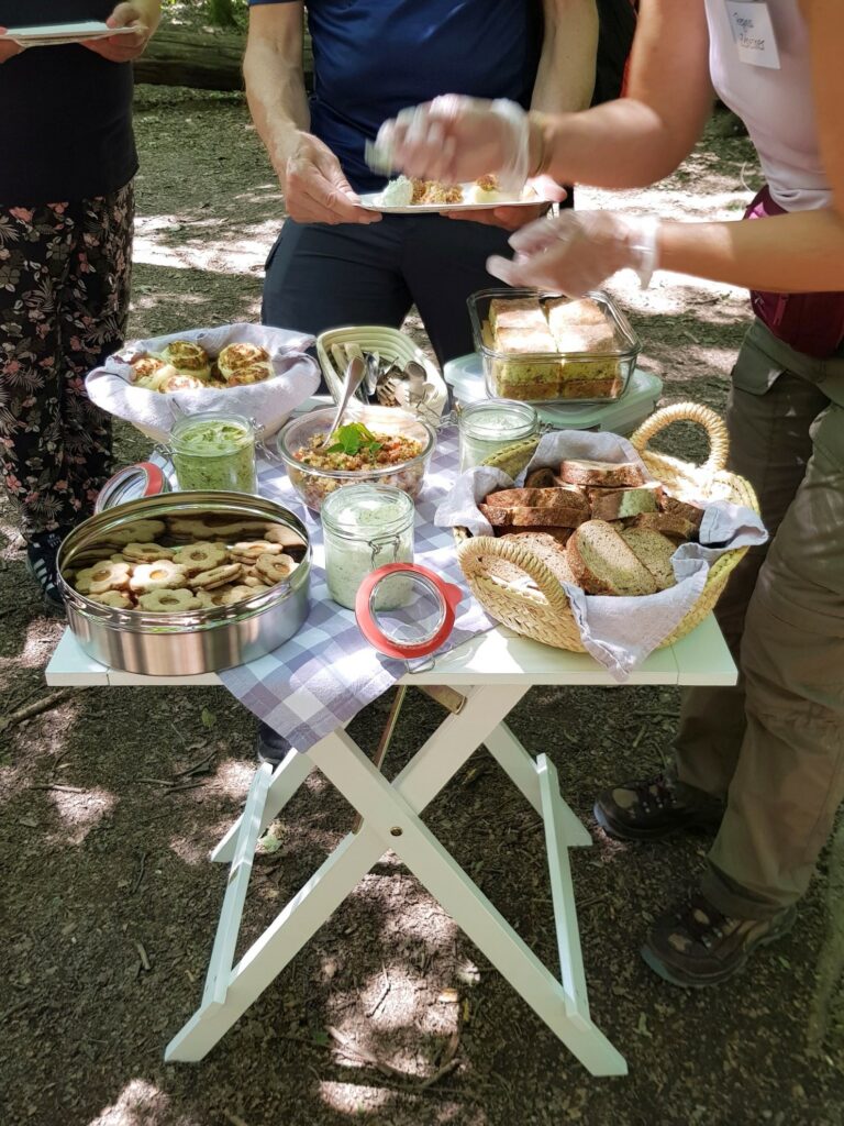 Leckereien aus meiner Wildkräuterküche - Wald & Wiese Picknick mit Regina