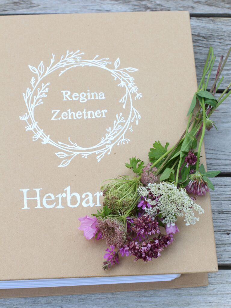 Herbarium Regina Zehetner, Wildpflanzenpädagogin