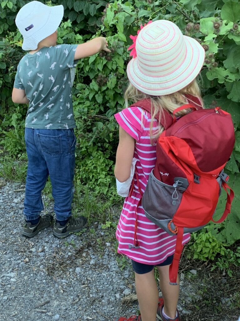 Pflanzenforscher unterwegs - Wald & Wiese Wildkräutertour mit Kindern