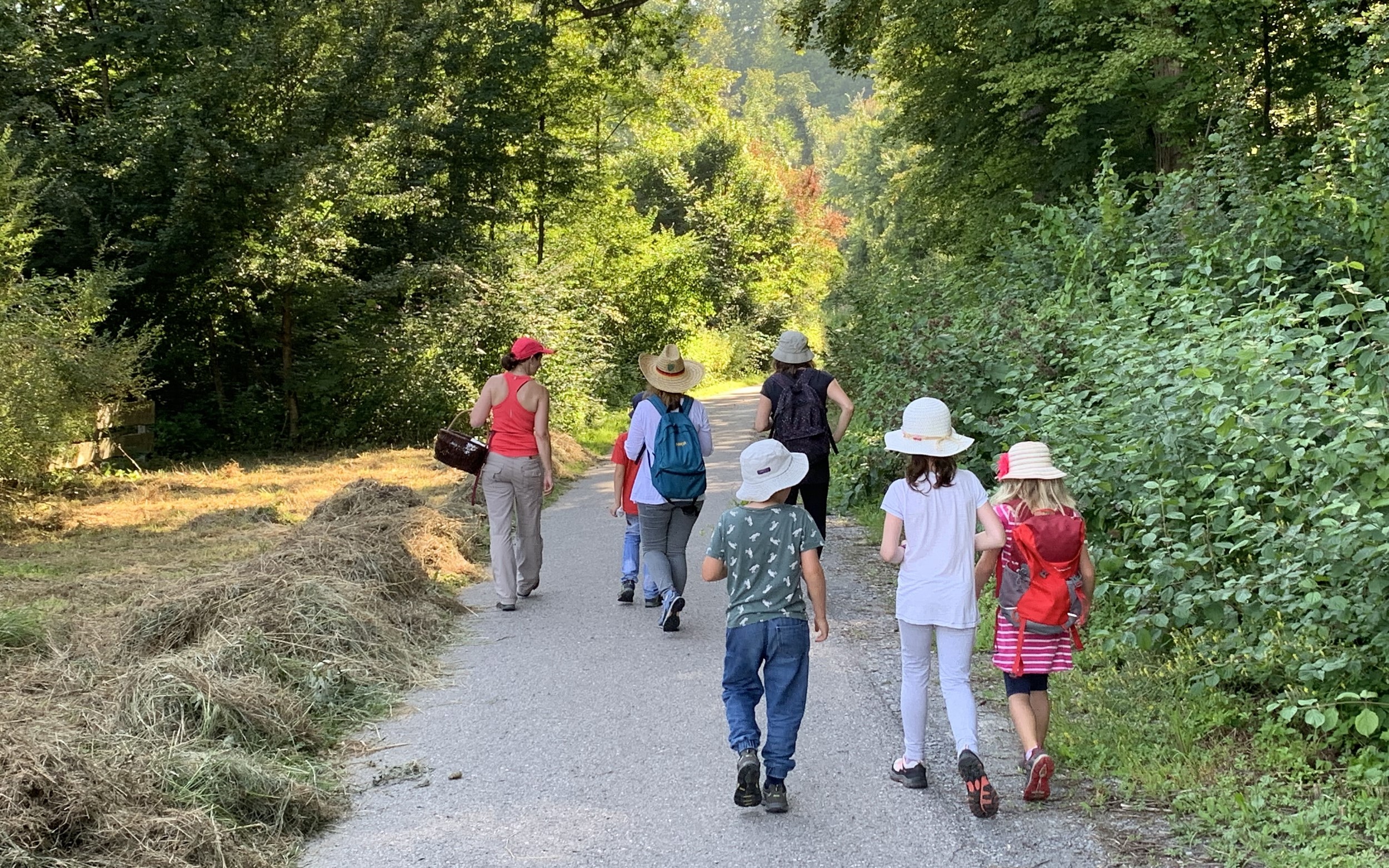 Pflanzenforscher unterwegs Wildkräutertour mit Kindern