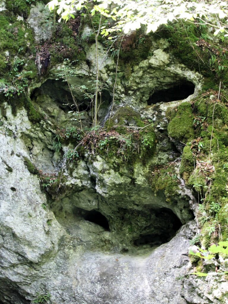"Höhlen-Gesicht"