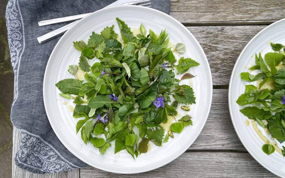 Waldsalat – wir bringen wilde Blätter, Keimlinge und Kräuter auf den Teller
