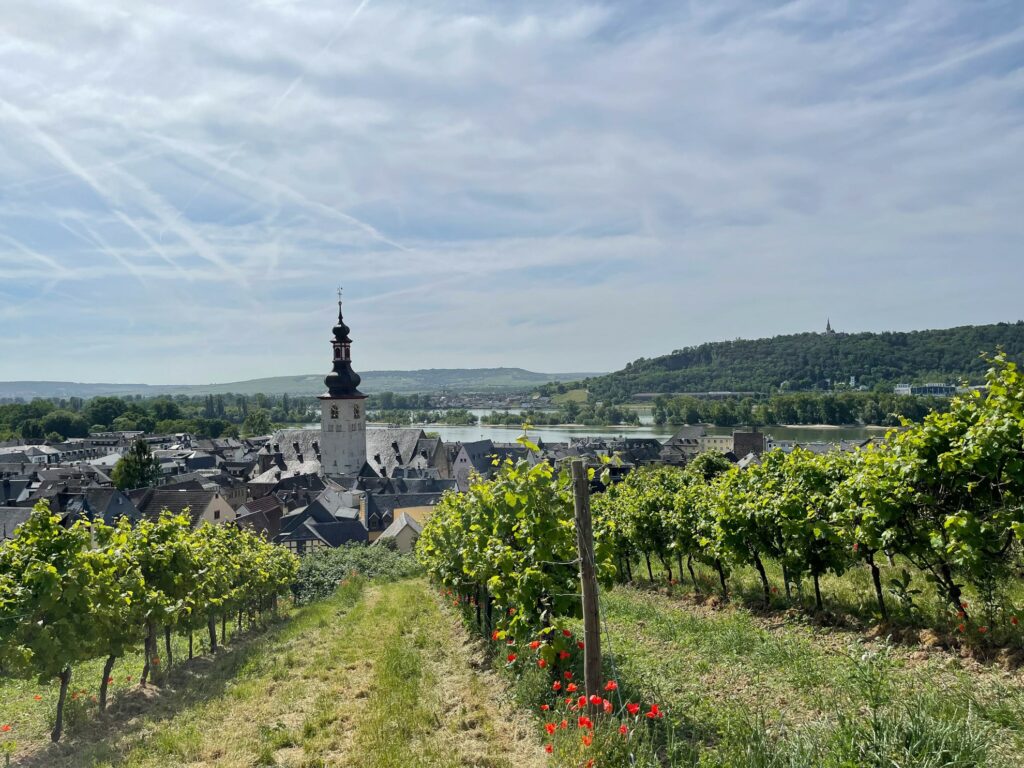 Rüdesheim und Bingen am Rhein