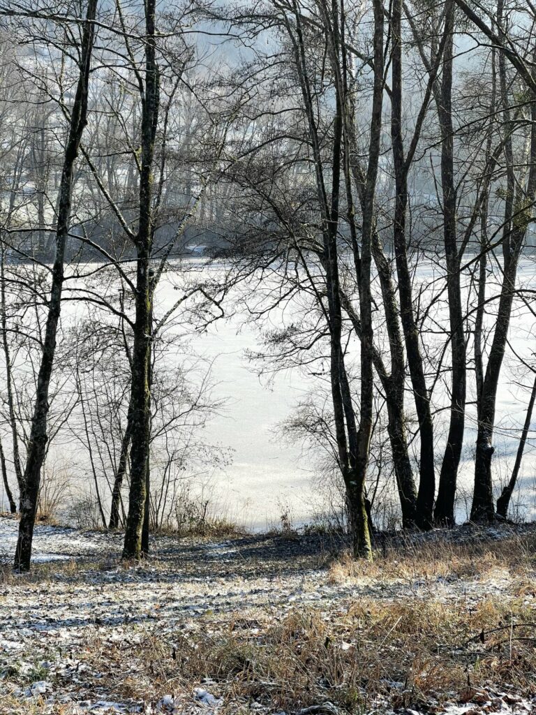 Lehenbach-Stausee im Winter