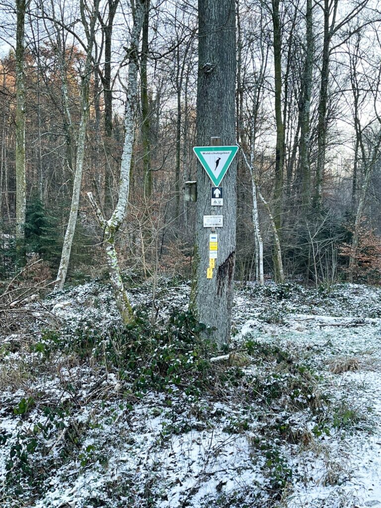 Waldschutzgebiet im Lehenbachtal