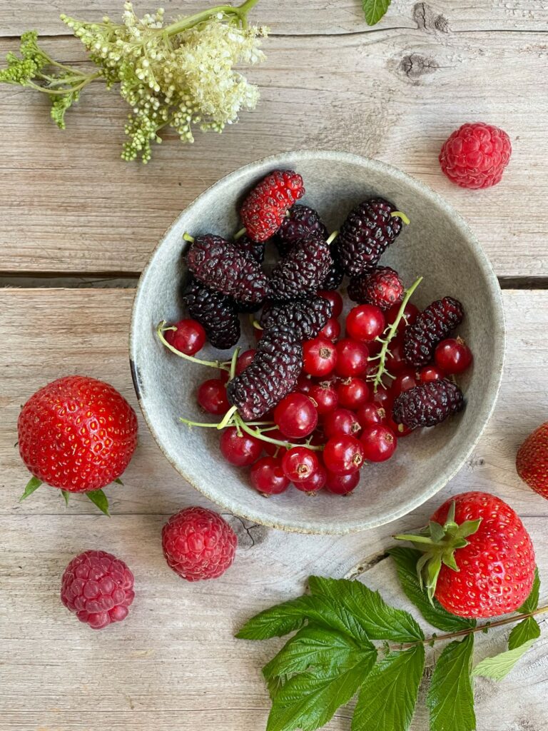 Soomerbeeren mit Mädesüß