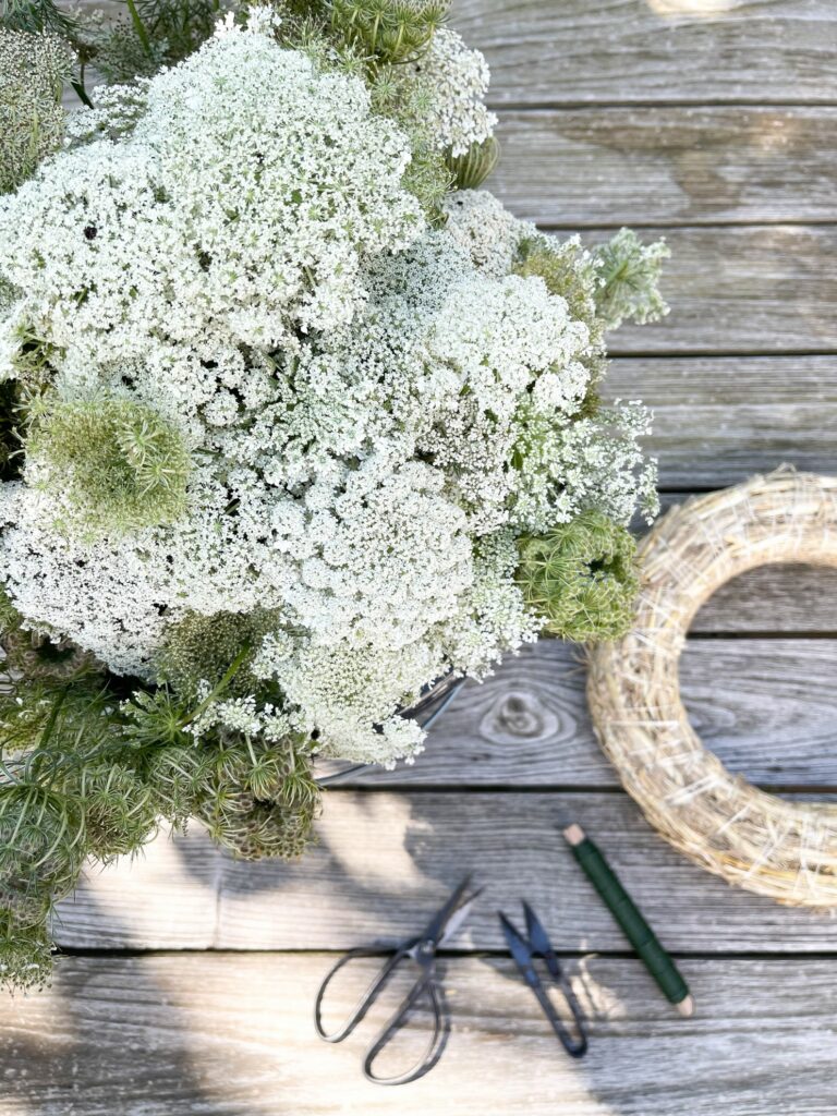 Kranzbinden mit Wilder Möhre (Daucus carota)