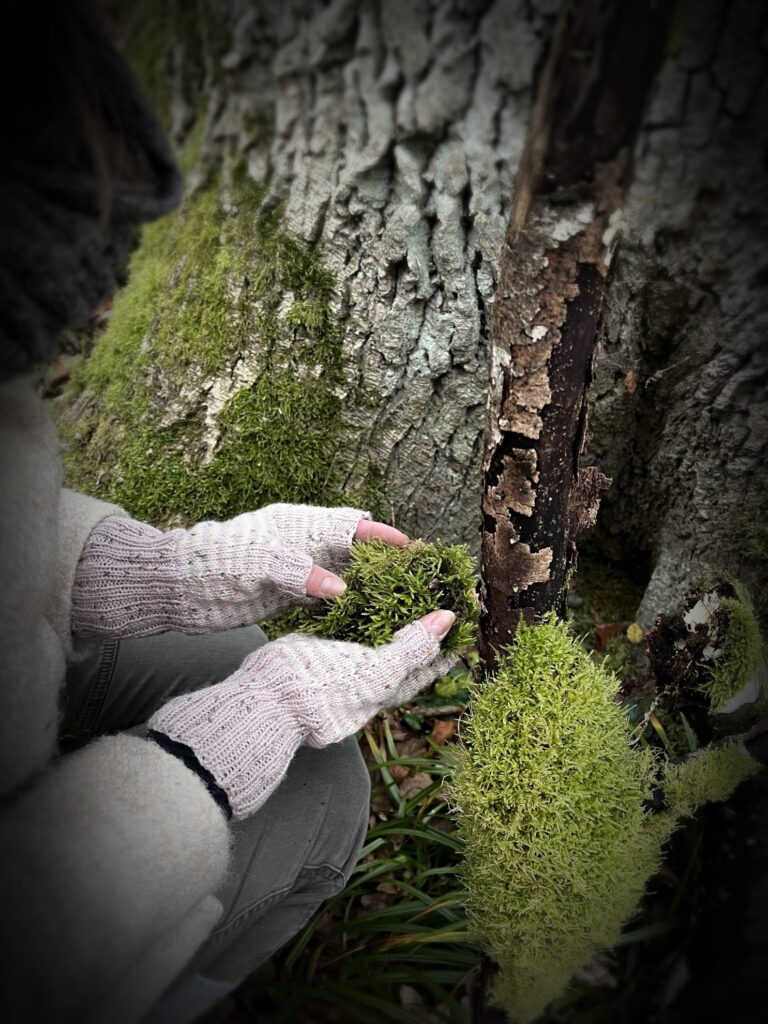 Weihnachten im Wald